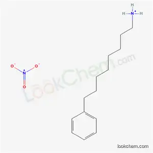 Molecular Structure of 120375-41-9 (8-phenyloctylazanium nitrate)