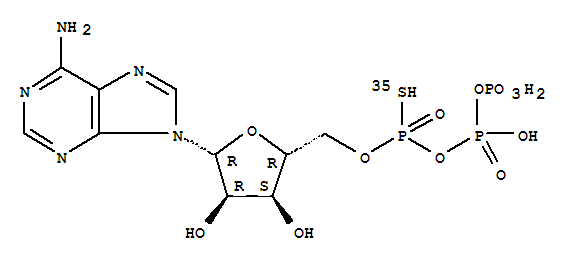Adenosine, 5'?P''-ester with thiotriphosphoricacid ((HO)2P(O)OP(O)(OH)OP(35S)(OH)2) (9CI)