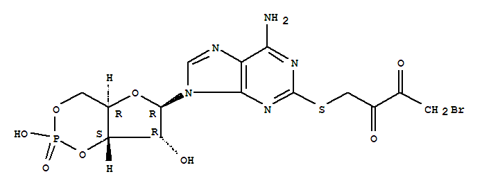 2-((4-BROMO-2,3-DIOXOBUTYL)THIO)-ADENOSINE 3'5'-C...