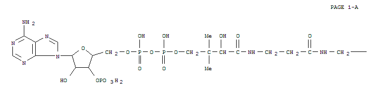 Molecular Structure of 137374-53-9 (Coenzyme A,S-[1-hydrogen 2-hydroxypentanedioate], (R)- (9CI))