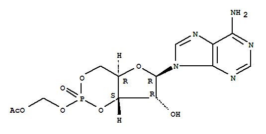 Adenosine, cyclic3',5'-[(acetyloxy)methyl phosphate]                                                                                                                                                    