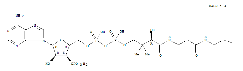 18907-20-5,pimeloyl-coenzyme A,Coenzyme A,S-(hydrogen pimelate) (8CI); Coenzyme A, S-pimelate (7CI); Pimeloyl-CoA;Pimelyl coenzyme A; Pimelyl-CoA