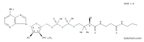 Molecular Structure of 18907-20-5 (pimeloyl-coenzyme A)