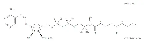 Molecular Structure of 2043-93-8 (4-[2-[3-[4-[[[5-(6-aminopurin-9-yl)-4-hydroxy-3-phosphonooxy-oxolan-2-yl]methoxy-hydroxy-phosphoryl]oxy-hydroxy-phosphoryl]oxy-2-hydroxy-3,3-dimethyl-butanoyl]aminopropanoylamino]ethylsulfanyl]-2-hydroxy-4-oxo-butanoic acid)