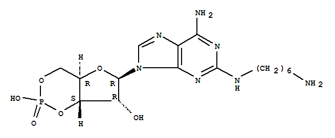 Adenosine,2-[(6-aminohexyl)amino]-, cyclic 3',5'-(hydrogen phosphate)