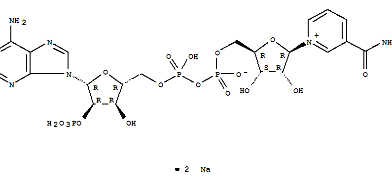 24292-60-2,Adenosine 5'-(trihydrogen diphosphate), 2'-(dihydrogen phosphate), P'→5'-ester with 3-(aminocarbonyl)-1-β-D-ribofuranosylpyridinium, inner salt, disodium salt,Disodium NADP;NAD sodium phosphate;beta-Nicotinamide adenine dinucleotide phosphate disodium salt;