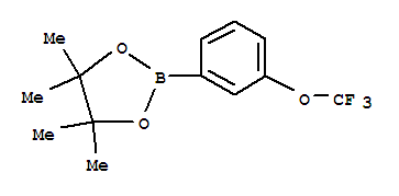 4,4,5,5-Tetramethyl-2-(3-trifluoromethoxyphenyl)-1,3,2-dioxaborolane