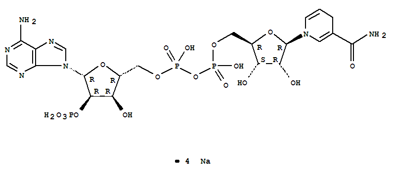 Dihydronicotinamide-adenine dinucleotide phosphate tetrasodium salt(2646-71-1)