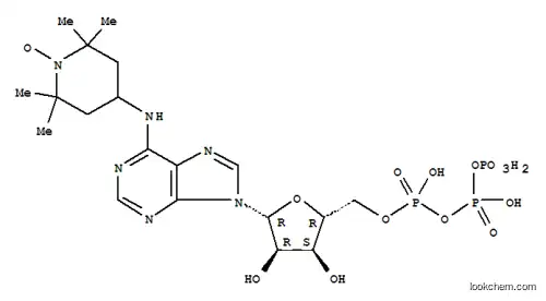Molecular Structure of 33913-54-1 (6-(2,2,6,6-tetramethylpiperidine-1-oxyl)-adenosine triphosphate)