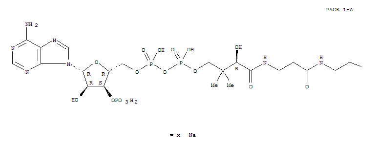 Coenzyme A, Sodium Salt(55672-92-9)