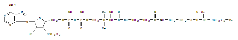 2-BROMOOCTANOYL-COENZYME A