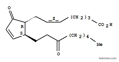 Molecular Structure of 74872-89-2 (13,14-DIHYDRO-15-KETO PROSTAGLANDIN A2)