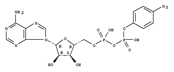 76611-59-1,beta-(4-azidophenyl)adenosine 5'-diphosphate,beta-(4-azidophenyl)adenosine 5’-diphosphate