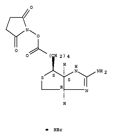 2,5-Pyrrolidinedione,1-[[5-[(3aS,4S,6aR)-2-amino-3a,4,6,6a-tetrahydro-1H-thieno[3,4-d]imidazol-4-yl]-1-oxopentyl]oxy]-,hydrobromide (1:1) cas  76939-67-8