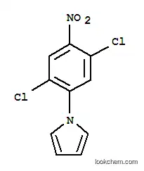Molecular Structure of 175135-54-3 (1-(2,5-DICHLORO-4-NITROPHENYL)-1H-PYRROLE)