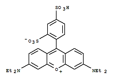 Sulforhodamine B manufacturer