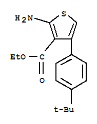 Molecular Structure of 307511-84-8 (3-Thiophenecarboxylicacid, 2-amino-4-[4-(1,1-dimethylethyl)phenyl]-, ethyl ester)