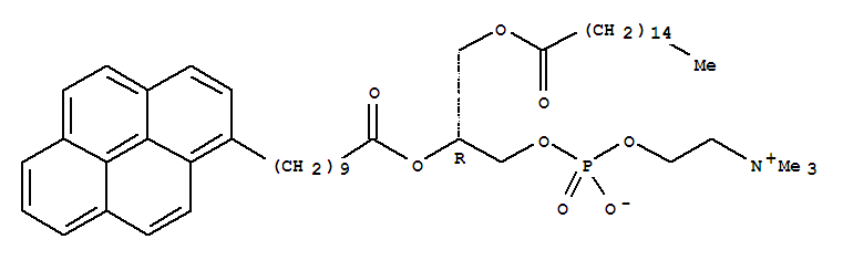 95864-17-8,3,5,9-Trioxa-4-phosphapentacosan-1-aminium,4-hydroxy-N,N,N-trimethyl-10-oxo-7-[[1-oxo-10-(1-pyrenyl)decyl]oxy]-, innersalt, 4-oxide, (7R)-,3,5,9-Trioxa-4-phosphapentacosan-1-aminium,4-hydroxy-N,N,N-trimethyl-10-oxo-7-[[1-oxo-10-(1-pyrenyl)decyl]oxy]-, innersalt, 4-oxide, (R)-;1-Hexadecanoyl-2-(1-pyrenedecanoyl)-sn-glycero-3-phosphocholine;1-Hexadecanoyl-2-(1-pyrenedecanoyl)-sn-glycero-3-phosphocholine; 1-Palmitoyl-2-pyrenedecanoylphosphatidylcholine;3-Palmitoyl-2-(1-pyrenodecanoyl)-L-a-phosphatidylcholine