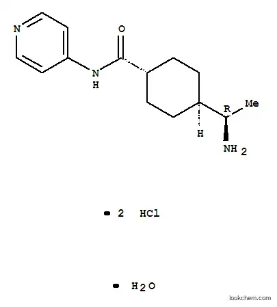 Molecular Structure of 331752-47-7 ((R)-(+)-trans-4-(1-Aminoethyl)-N-(4-pyridyl)cyclohexanecarboxamide Dihydrochloride Monohydrate)