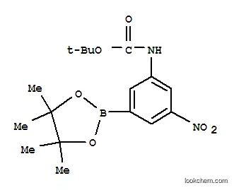 Molecular Structure of 374595-05-8 ((3-BOC-AMINO-5-NITROPHENYL)BORONIC ACID)