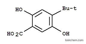 Molecular Structure of 5330-57-4 (4-tert-butyl-2,5-dihydroxybenzoic acid)