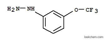 Molecular Structure of 650628-49-2 (3-trifluoromethoxy phenylhydrazine)