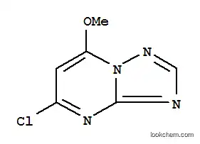 Molecular Structure of 89581-76-0 ([1,2,4]Triazolo[1,5-a]pyrimidine,5-chloro-7-methoxy-)