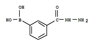 3-Boronobenzohydrazide 913835-79-7