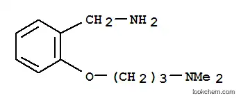Molecular Structure of 916766-87-5 (2-[3-(Dimethylamino)propoxy]benzylamine)