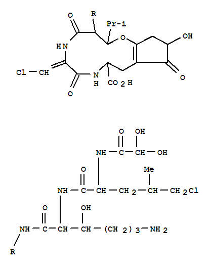 Molecular Structure of 106986-65-6 (Alanine,dihydroxyacetyl-5-chloroleucyl-3-hydroxylysyl-3-hydroxyleucyl-3-chloro-2,3-didehydroalanyl-3-(2,4-dihydroxy-5-oxo-1-cyclopenten-1-yl)-,cyclic (4®62)-ether (9CI))