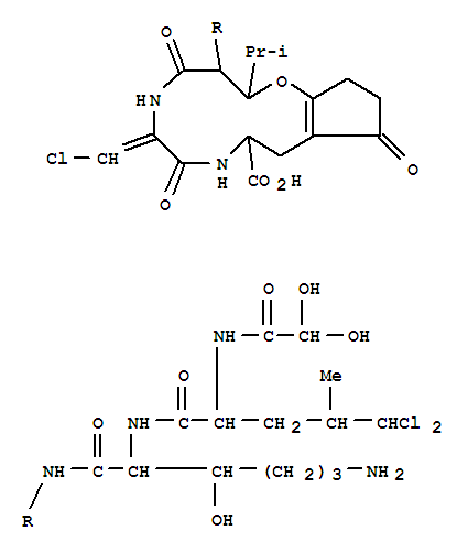 Molecular Structure of 106986-66-7 (Alanine,dihydroxyacetyl-5,5-dichloroleucyl-3-hydroxylysyl-3-hydroxyleucyl-3-chloro-2,3-didehydroalanyl-3-(2-hydroxy-5-oxo-1-cyclopenten-1-yl)-,cyclic (4®6)-ether (9CI))