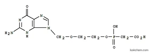 Molecular Structure of 117627-18-6 ([{2-[(2-amino-6-oxo-3,6-dihydro-9H-purin-9-yl)methoxy]ethoxy}(hydroxy)phosphoryl]acetic acid)