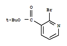 tert-Butyl2-bromonicotinate