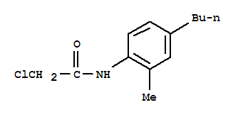 N1-(4-BUTYL-2-METHYLPHENYL)-2-CHLOROACETAMIDE