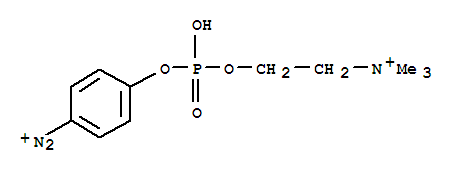 p-Diazonium Phenylphosphorylcholine