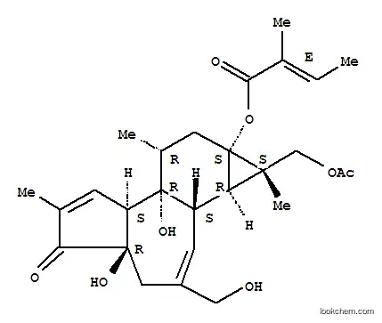 Molecular Structure of 39071-30-2 ((1S,1aR,1bS,4aR,7aS,7bR,8R,9aS)-1-[(acetyloxy)methyl]-4a,7b-dihydroxy-3-(hydroxymethyl)-1,6,8-trimethyl-5-oxo-1,1a,1b,4,4a,5,7a,7b,8,9-decahydro-9aH-cyclopropa[3,4]benzo[1,2-e]azulen-9a-yl (2E)-2-methylbut-2-enoate)