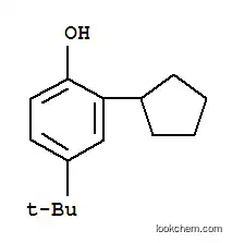 Molecular Structure of 52762-67-1 (4-tert-butyl-2-cyclopentylphenol)