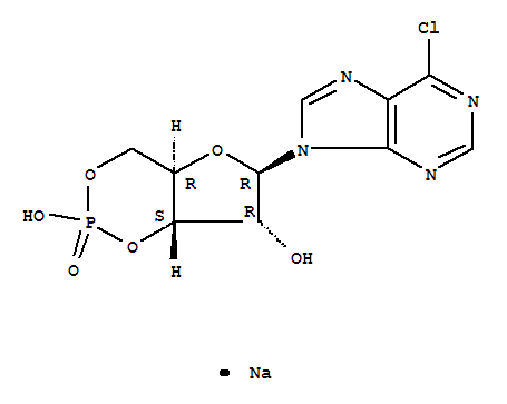 94200-58-5,6-CHLOROPURINE RIBOSIDE-3',5'-CYCLIC MONOPHOSPHATE SODIUM SALT,6-Chloro-9-(3,5-O-phosphinico-beta-D-ribofuranosyl)-9H-purine, monosodium salt;
