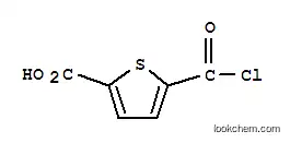 Molecular Structure of 89284-70-8 (2-Thiophenecarboxylicacid,5-(chloroformyl)-(7CI))