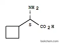 Molecular Structure of 49607-08-1 (L-Cyclobutylglycine)