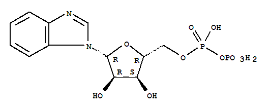 1H-Benzimidazole,1-[5-O-[hydroxy(phosphonooxy)phosphinyl]-b-D-ribofuranosyl]-