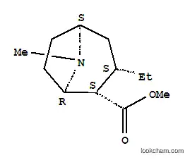 Molecular Structure of 712270-65-0 (8-Azabicyclo[3.2.1]octane-2-carboxylicacid,3-ethyl-8-methyl-,methylester,(1R,2S,3S,5S)-(9CI))