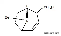 Molecular Structure of 786577-75-1 (8-Azabicyclo[3.2.1]oct-3-ene-2-carboxylicacid,8-methyl-,(1R)-(9CI))