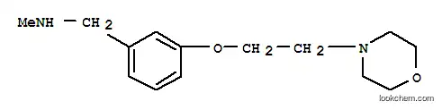 Molecular Structure of 857284-10-7 (N-METHYL-N-[3-(2-MORPHOLIN-4-YLETHOXY)BENZYL]AMINE)