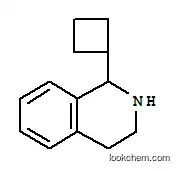 Molecular Structure of 886759-47-3 (1-Cyclobutyl-1,2,3,4-tetrahydroisoquinoline)