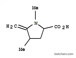 Molecular Structure of 90087-75-5 (Proline, 1,4-dimethyl-5-methylene- (7CI))