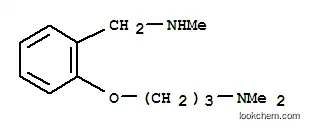 Molecular Structure of 910037-06-8 (2-[3-(Dimethylamino)propoxy]-N-methylbenzylamine)