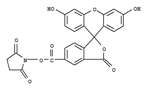 5-Carboxyfluorescein N-succinimidyl ester(92557-80-7)