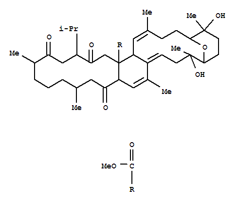 Molecular Structure of 102141-25-3 (5,9-Epoxybenzo[1,2:3,4]dicyclotetradecene-26a(4H)-carboxylicacid,3,5,6,7,8,9,10,11,14a,15,16,17,18,19,20,21,22,23,24,25,26,26b-docosahydro-6,10-dihydroxy-2,6,10,13,17,21-hexamethyl-24-(1-methylethyl)-15,22,25-trioxo-,methyl ester, (1E,5R,6S,9S,10R,12E,14aR,17R,21S,24R,26aR,26bR)-)