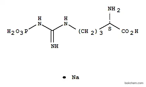 Molecular Structure of 108321-86-4 (PHOSPHO-L-ARGININE SODIUM)